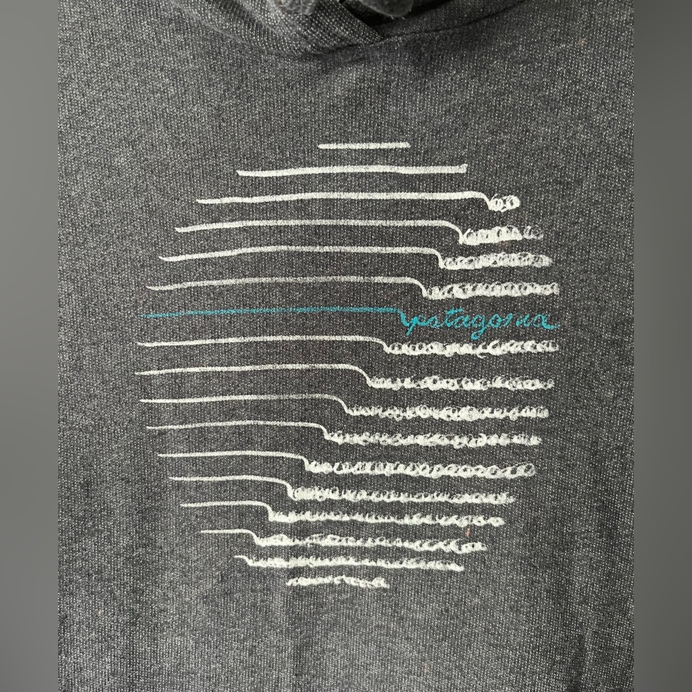 Patagonia | Organic Cotton Hoodie - Picture 4 of 11